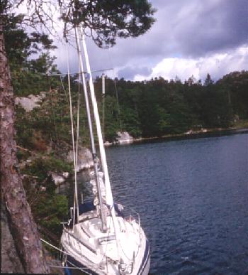 Bjørnevika
