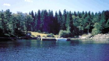 Ølen